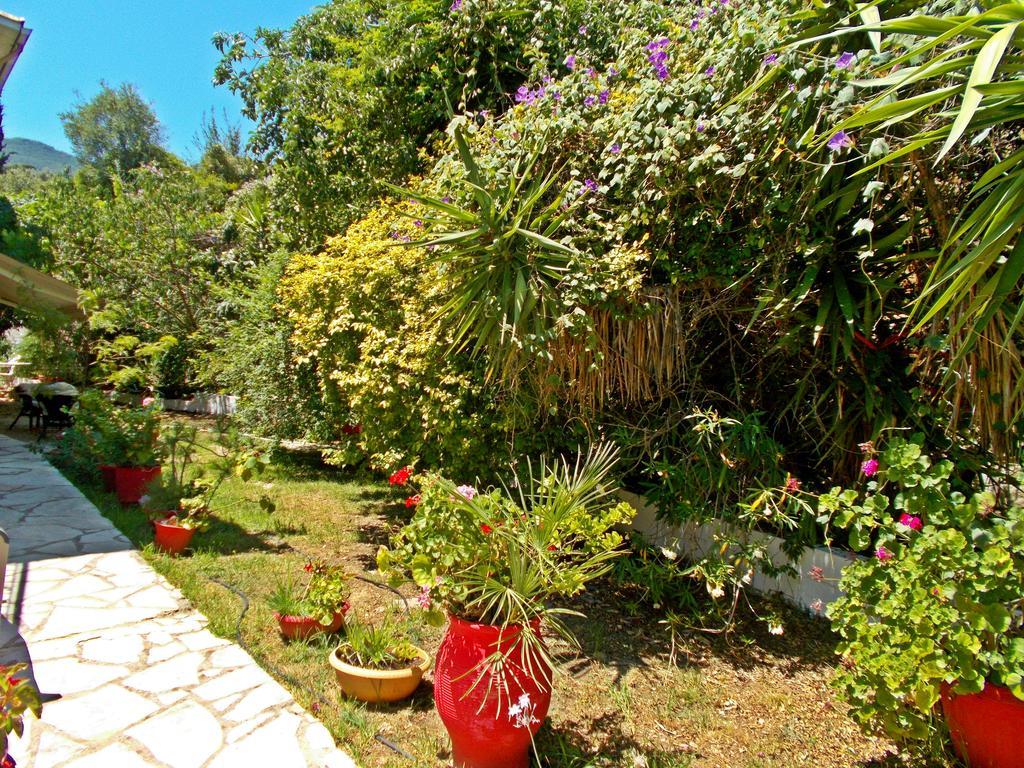 فندق نِكيانافي  Aleka'S House المظهر الخارجي الصورة